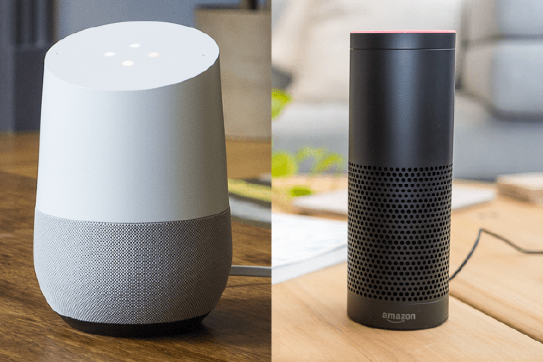 Google home vs alexa hot sale price