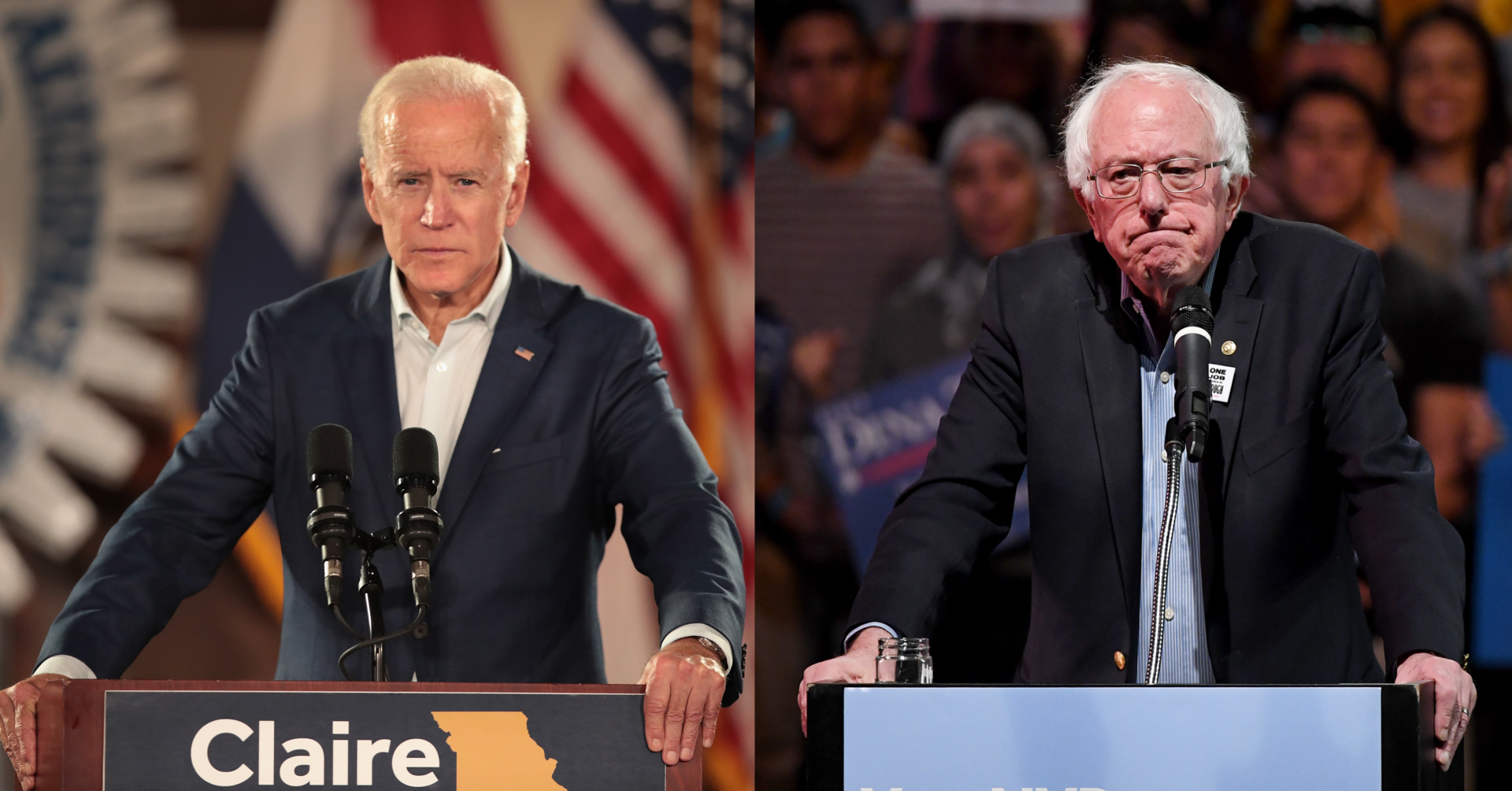 Democrats Prefer Biden, Sanders Over Crowded Primary Field