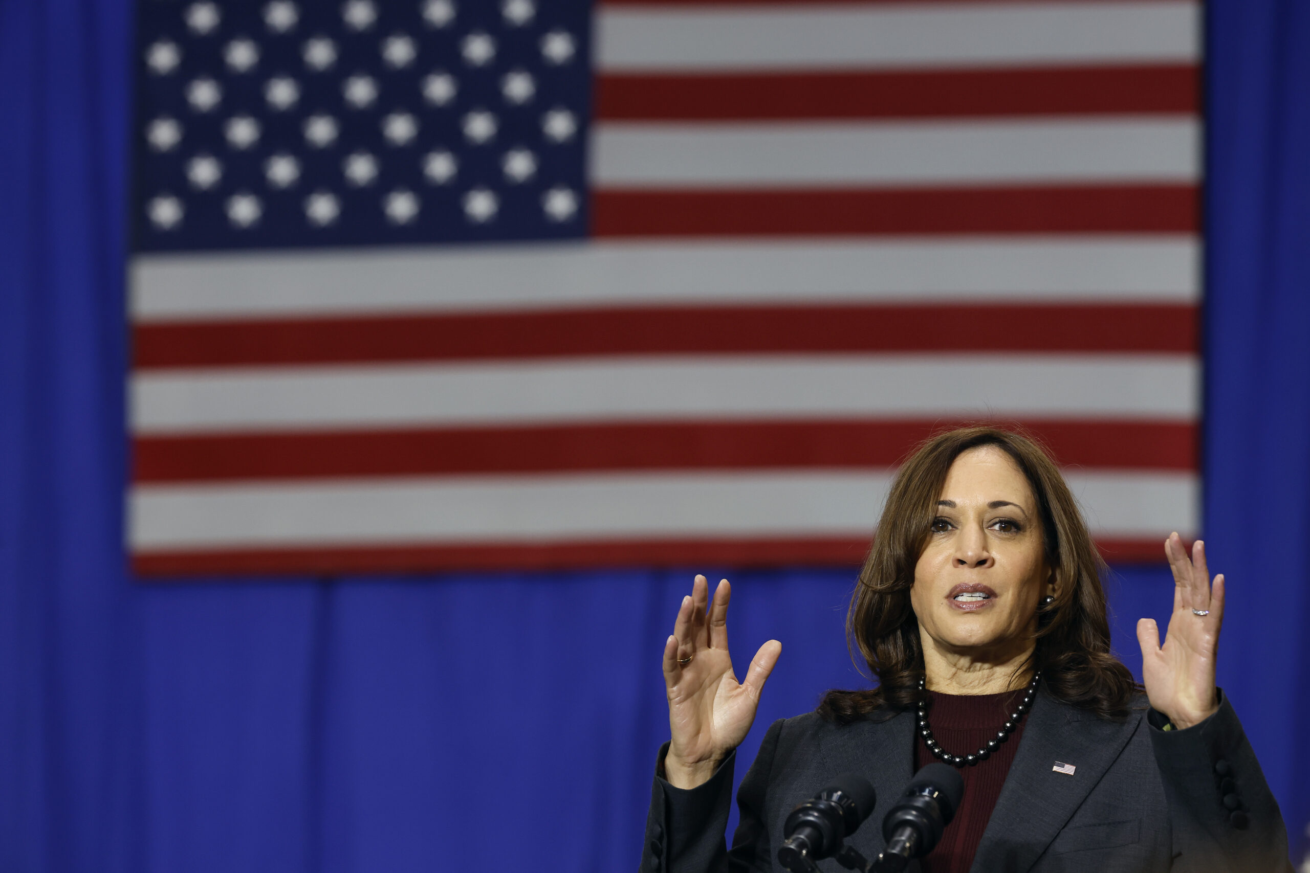 Kamala Harris Leads Hypothetical Bidenless 2024 Primary