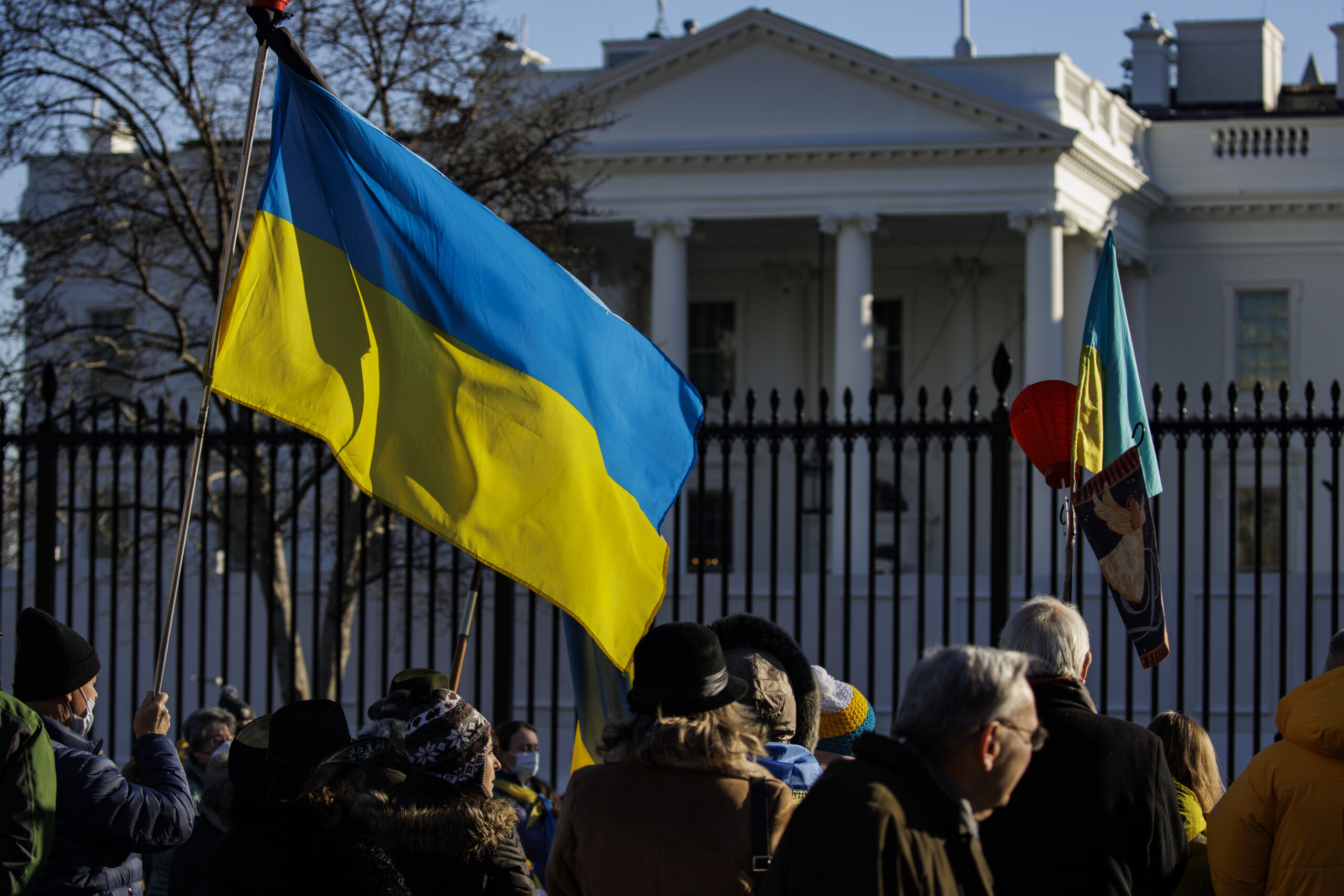 Ukraine crisis activists