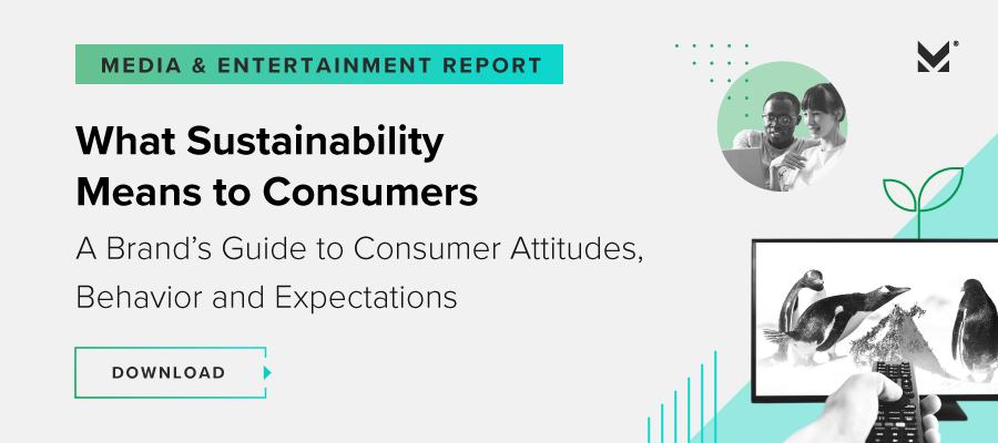 Sustainability Media & Entertainment Report download