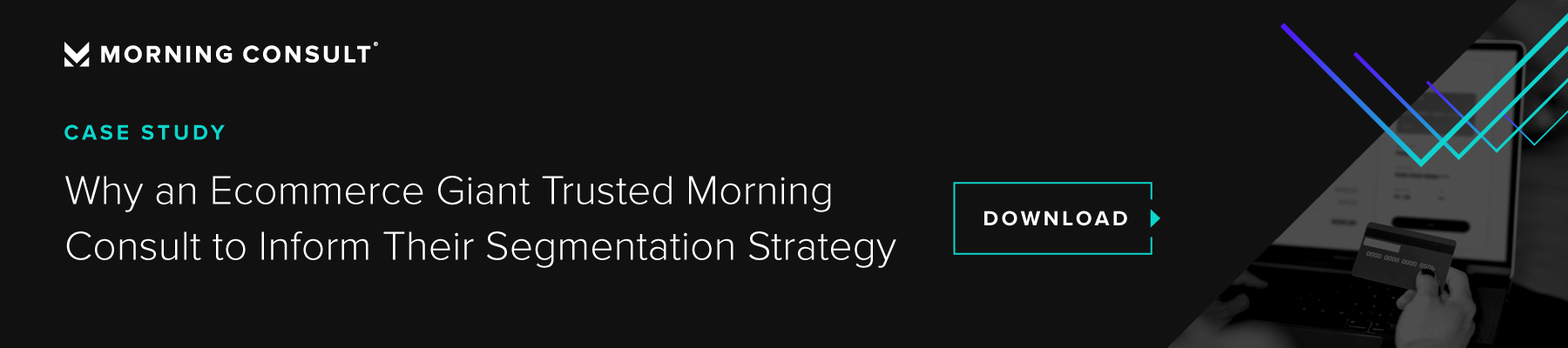 Morning consult wayfair case study